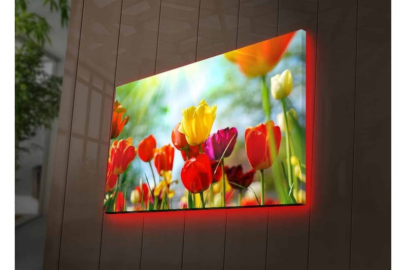Canvas-taulu LED-valaistuksella - Värikäs tulppaanikimppu - Punainen / Keltainen / Violetti - Sisustustuotteet - Taulu & taide - Canvas-taulu