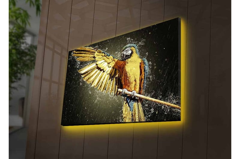 Canvas-taulu LED-valaistuksella - Värikäs papukaija ojennetuilla siivillä - Kulta / Sininen / Vihreä - Sisustustuotteet - Taulu & taide - Canvas-taulu