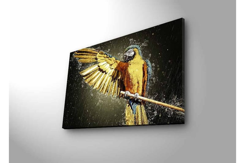 Canvas-taulu LED-valaistuksella - Värikäs papukaija ojennetuilla siivillä - Kulta / Sininen / Vihreä - Sisustustuotteet - Taulu & taide - Canvas-taulu