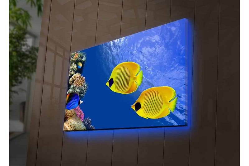 Canvas-taulu LED-valaistuksella - Värikkäitä trooppisia kaloja koralliriutalla - Sininen / Keltainen / Violetti - Sisustustuotteet - Taulu & taide - Canvas-taulu