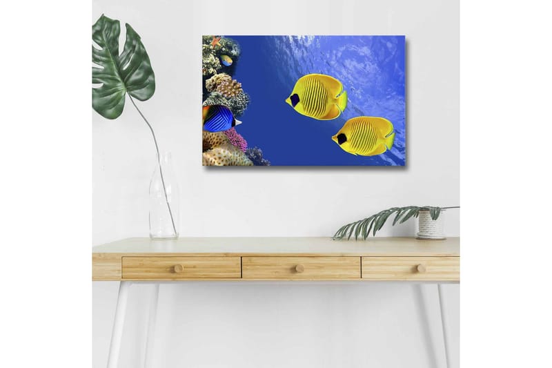 Canvas-taulu LED-valaistuksella - Värikkäitä trooppisia kaloja koralliriutalla, Sininen / Keltainen / Violetti