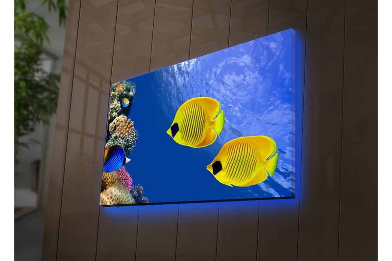 Canvas-taulu LED-valaistuksella - Värikkäitä trooppisia kaloja koralliriutalla - Sininen / Keltainen / Violetti - Sisustustuotteet - Taulu & taide - Canvas-taulu