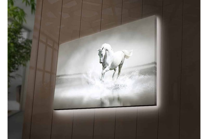 Canvas-taulu LED-valaistuksella - Valkoinen hevonen suihkuttaa vettä sumuisessa ympäristössä - Valkoinen / Harmaa - Sisustustuotteet - Taulu & taide - Canvas-taulu