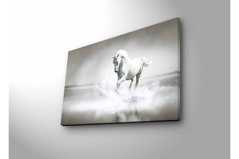 Canvas-taulu LED-valaistuksella - Valkoinen hevonen suihkuttaa vettä sumuisessa ympäristössä - Valkoinen / Harmaa - Sisustustuotteet - Taulu & taide - Canvas-taulu