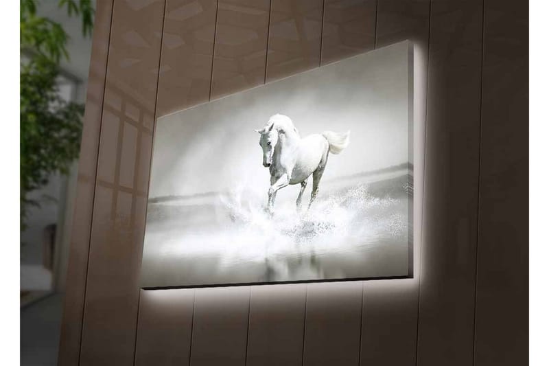 Canvas-taulu LED-valaistuksella - Valkoinen hevonen suihkuttaa vettä sumuisessa ympäristössä - Valkoinen / Harmaa - Sisustustuotteet - Taulu & taide - Canvas-taulu