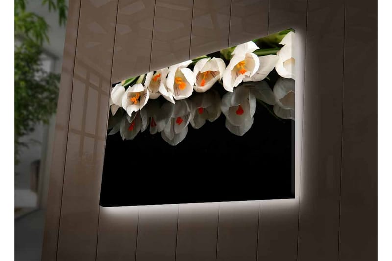 Canvas-taulu LED-valaistuksella - Valkoinen kukkakimppu heijastuksella mustalla taustalla - Valkoinen / Oranssi / Vihreä - Sisustustuotteet - Taulu & taide - Canvas-taulu