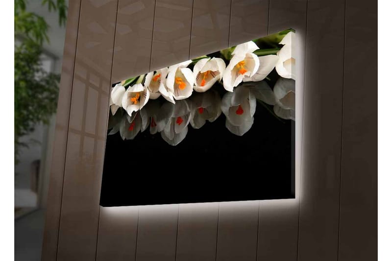 Canvas-taulu LED-valaistuksella - Valkoinen kukkakimppu heijastuksella mustalla taustalla - Valkoinen / Oranssi / Vihreä - Sisustustuotteet - Taulu & taide - Canvas-taulu