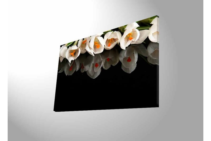 Canvas-taulu LED-valaistuksella - Valkoinen kukkakimppu heijastuksella mustalla taustalla - Valkoinen / Oranssi / Vihreä - Sisustustuotteet - Taulu & taide - Canvas-taulu