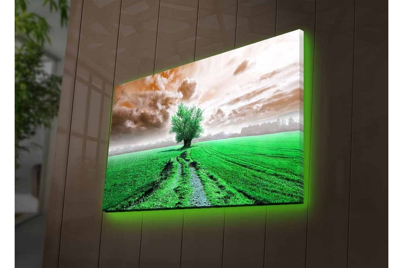 Canvas-taulu LED-valaistuksella - Vehreä maisema ja yksinäinen puunlatva horisontissa - Vihreä / Ruskea / Harmaa - Sisustustuotteet - Taulu & taide - Canvas-taulu