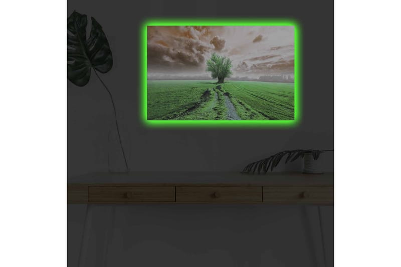 Canvas-taulu LED-valaistuksella - Vehreä maisema ja yksinäinen puunlatva horisontissa - Vihreä / Ruskea / Harmaa - Sisustustuotteet - Taulu & taide - Canvas-taulu