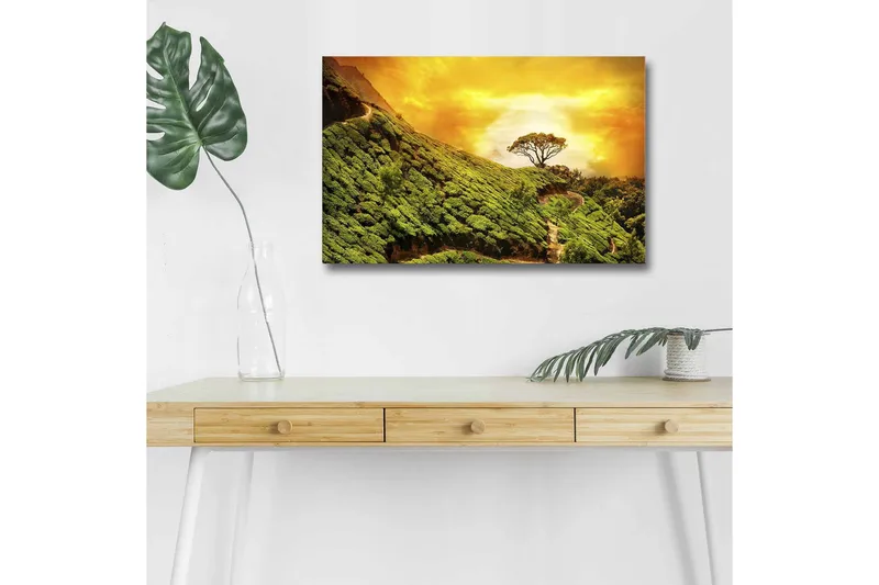 Canvas-taulu LED-valaistuksella - Vehreä maisema yksinäisellä puunlatvalla kultaista taivasta vasten, Vihreä / Kulta / Ruskea