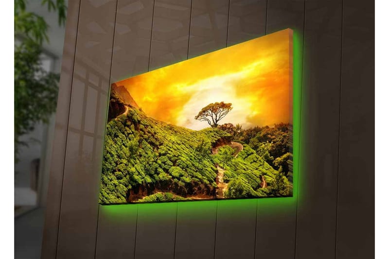 Canvas-taulu LED-valaistuksella - Vehreä maisema yksinäisellä puunlatvalla kultaista taivasta vasten - Vihreä / Kulta / Ruskea - Sisustustuotteet - Taulu & taide - Canvas-taulu