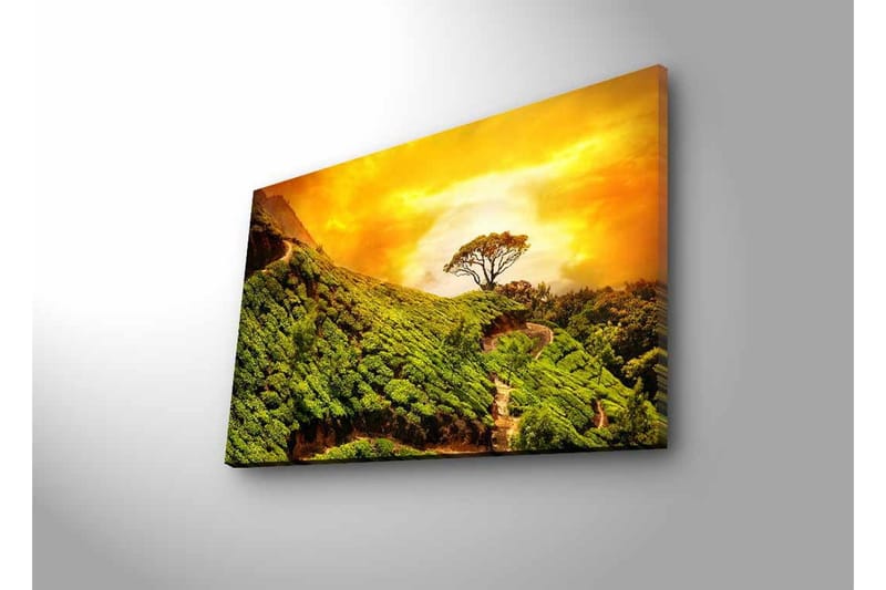 Canvas-taulu LED-valaistuksella - Vehreä maisema yksinäisellä puunlatvalla kultaista taivasta vasten - Vihreä / Kulta / Ruskea - Sisustustuotteet - Taulu & taide - Canvas-taulu