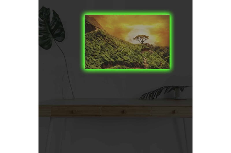 Canvas-taulu LED-valaistuksella - Vehreä maisema yksinäisellä puunlatvalla kultaista taivasta vasten - Vihreä / Kulta / Ruskea - Sisustustuotteet - Taulu & taide - Canvas-taulu