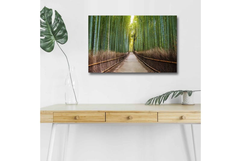 Canvas-taulu LED-valaistuksella - Vihreä bambumetsä ja polku puiden läpi, Vihreä / Ruskea