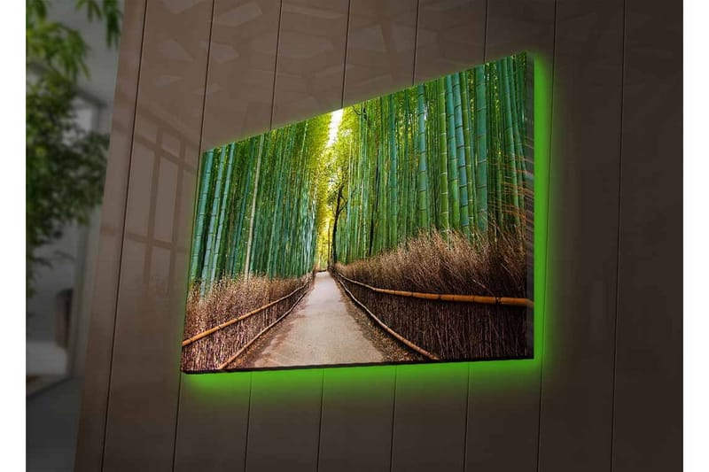 Canvas-taulu LED-valaistuksella - Vihreä bambumetsä ja polku puiden läpi - Vihreä / Ruskea - Sisustustuotteet - Taulu & taide - Canvas-taulu