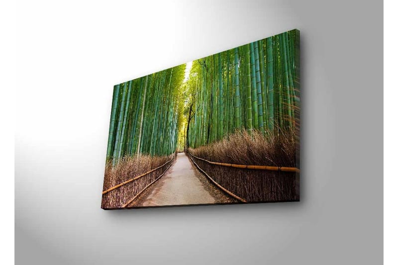Canvas-taulu LED-valaistuksella - Vihreä bambumetsä ja polku puiden läpi - Vihreä / Ruskea - Sisustustuotteet - Taulu & taide - Canvas-taulu