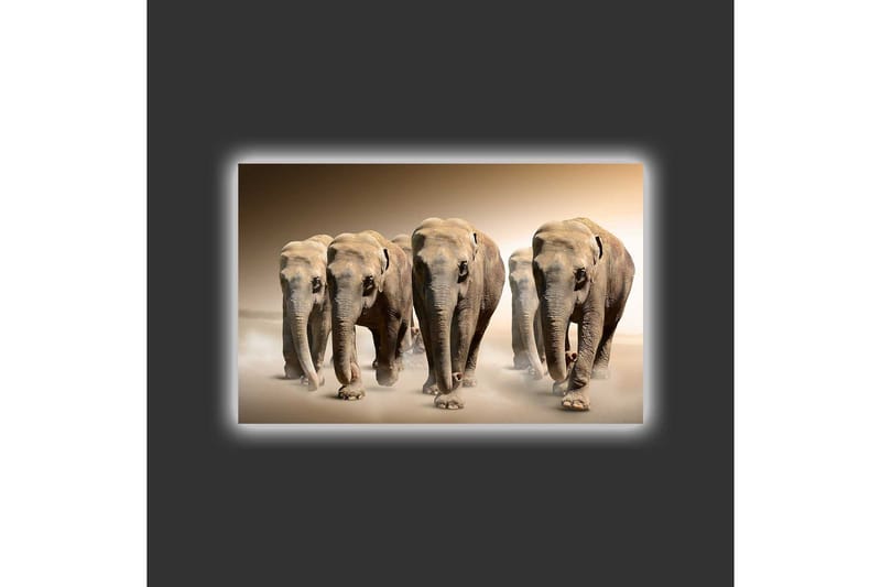 Canvas-taulu LED-valaistuksella - Viisi norsua kävelemässä rivissä hiekkaisessa ympäristössä - Beige / Ruskea / Harmaa - Sisustustuotteet - Taulu & taide - Canvas-taulu