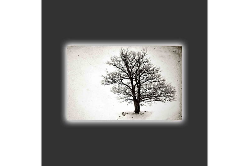 Canvas-taulu LED-valaistuksella - Yksinäinen, paljas puunlatvus valkoista taustaa vasten - Musta / Valkoinen - Sisustustuotteet - Taulu & taide - Canvas-taulu