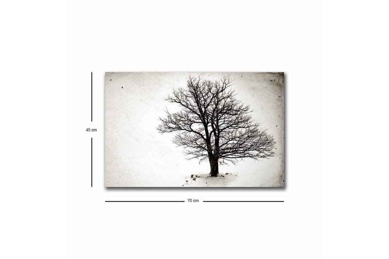 Canvas-taulu LED-valaistuksella - Yksinäinen, paljas puunlatvus valkoista taustaa vasten - Musta / Valkoinen - Sisustustuotteet - Taulu & taide - Canvas-taulu