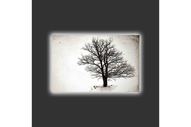Canvas-taulu LED-valaistuksella - Yksinäinen, paljas puunlatvus valkoista taustaa vasten - Musta / Valkoinen - Sisustustuotteet - Taulu & taide - Canvas-taulu