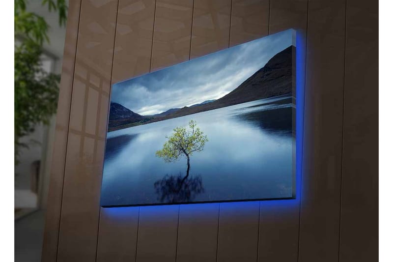 Canvas-taulu LED-valaistuksella - Yksinäinen puunlatva heijastuu tyynessä vedessä - Tummansininen / Vihreä / Harmaa - Sisustustuotteet - Taulu & taide - Canvas-taulu