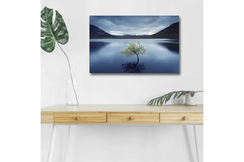 Canvas-taulu LED-valaistuksella - Yksinäinen puunlatva heijastuu tyynessä vedessä, Tummansininen / Vihreä / Harmaa