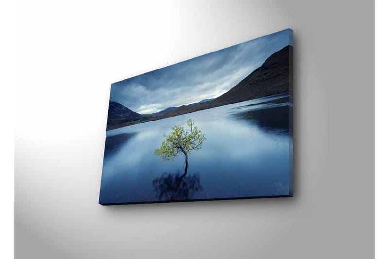 Canvas-taulu LED-valaistuksella - Yksinäinen puunlatva heijastuu tyynessä vedessä - Tummansininen / Vihreä / Harmaa - Sisustustuotteet - Taulu & taide - Canvas-taulu
