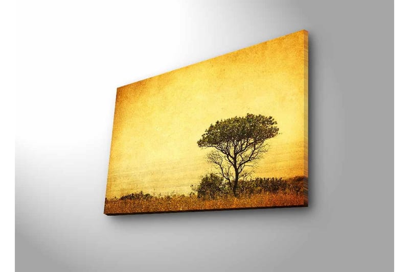 Canvas-taulu LED-valaistuksella - Yksinäisen puun siluetti kultaista taivasta vasten - Kulta / Ruskea / Musta - Sisustustuotteet - Taulu & taide - Canvas-taulu