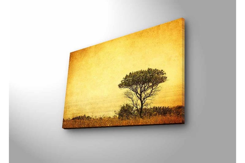 Canvas-taulu LED-valaistuksella - Yksinäisen puun siluetti kultaista taivasta vasten - Kulta / Ruskea / Musta - Sisustustuotteet - Taulu & taide - Canvas-taulu
