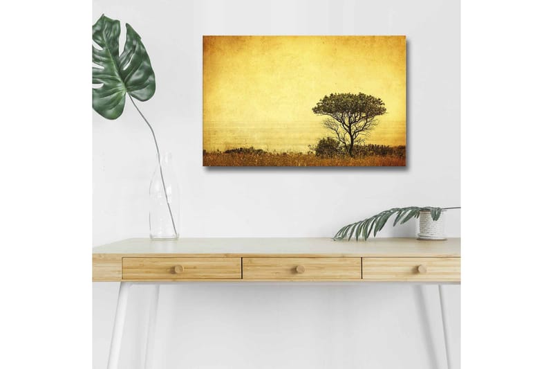 Canvas-taulu LED-valaistuksella - Yksinäisen puun siluetti kultaista taivasta vasten, Kulta / Ruskea / Musta