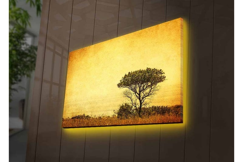 Canvas-taulu LED-valaistuksella - Yksinäisen puun siluetti kultaista taivasta vasten - Kulta / Ruskea / Musta - Sisustustuotteet - Taulu & taide - Canvas-taulu