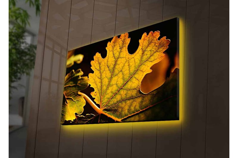Canvas-taulu LED-valaistuksella - Yksityiskohtainen sommittelu vihreistä ja kultaisista lehdistä - Vihreä / Kultainen - Sisustustuotteet - Taulu & taide - Canvas-taulu