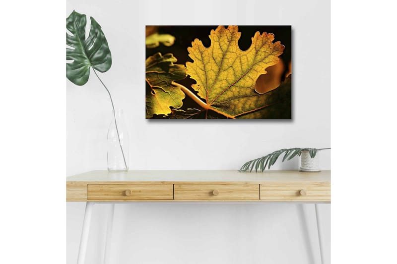 Canvas-taulu LED-valaistuksella - Yksityiskohtainen sommittelu vihreistä ja kultaisista lehdistä, Vihreä / Kultainen