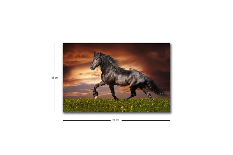 Canvas-taulu LED-valaistuksella - Ylpeä musta hevonen laukkaa vihreällä niityllä - Musta / Vihreä / Oranssi - Sisustustuotteet - Taulu & taide - Canvas-taulu