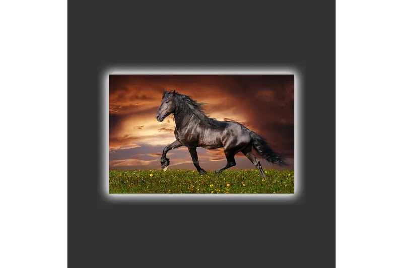 Canvas-taulu LED-valaistuksella - Ylpeä musta hevonen laukkaa vihreällä niityllä - Musta / Vihreä / Oranssi - Sisustustuotteet - Taulu & taide - Canvas-taulu