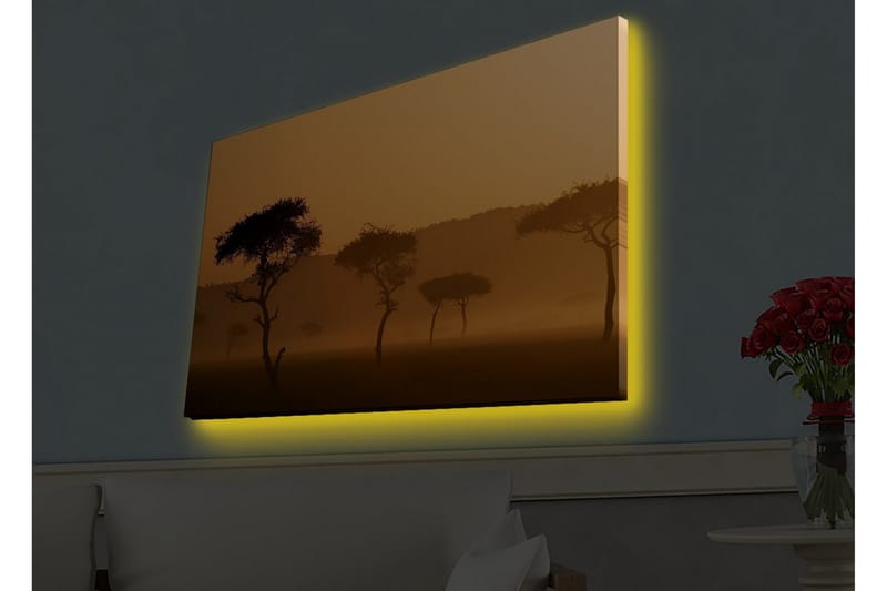 Canvas-taulu LED-valaistuksella - Puiden siluetit sumuisessa, kultaisessa maisemassa - Kulta / Musta - Sisustustuotteet - Taulu & taide - Canvas-taulu