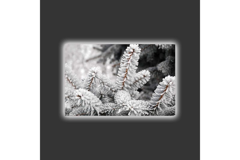 Canvas-taulu LED-valaistuksella - Pakkasiset kuusipuut talvimaisemassa - Valkoinen / Harmaa / Ruskea - Sisustustuotteet - Taulu & taide - Canvas-taulu