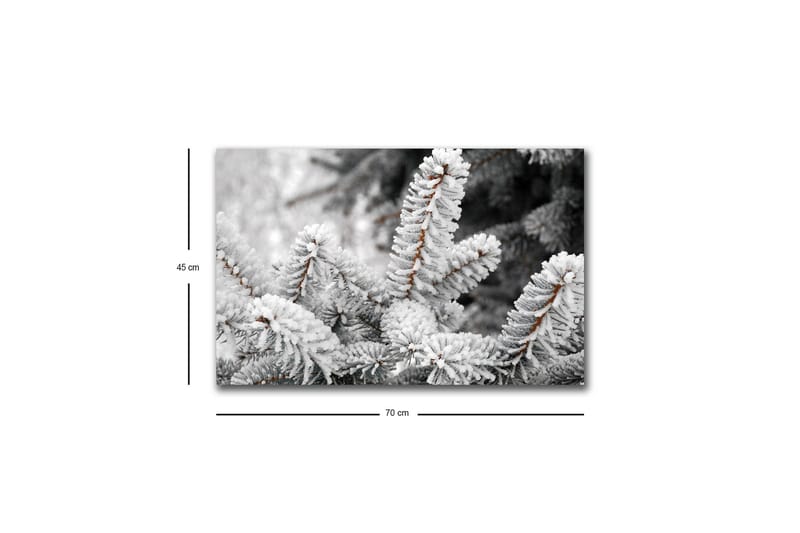 Canvas-taulu LED-valaistuksella - Pakkasiset kuusipuut talvimaisemassa - Valkoinen / Harmaa / Ruskea - Sisustustuotteet - Taulu & taide - Canvas-taulu