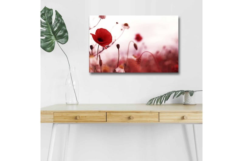 Canvas-taulu LED-valaistuksella - Punaisia unikkoja pehmeästi sumealla kukkaniityllä - Punainen / Vaaleanpunainen / Vihreä - Sisustustuotteet - Taulu & taide - Canvas-taulu