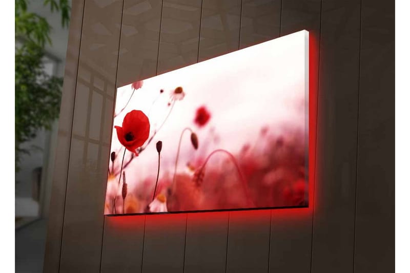 Canvas-taulu LED-valaistuksella - Punaisia unikkoja pehmeästi sumealla kukkaniityllä - Punainen / Vaaleanpunainen / Vihreä - Sisustustuotteet - Taulu & taide - Canvas-taulu