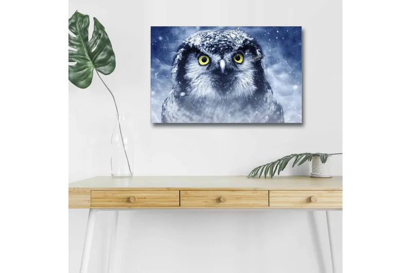 Canvas-taulu LED-valaistuksella - Pöllö lumisilla yksityiskohdilla ja intensiivisillä silmillä, Sininen / Valkoinen / Keltainen