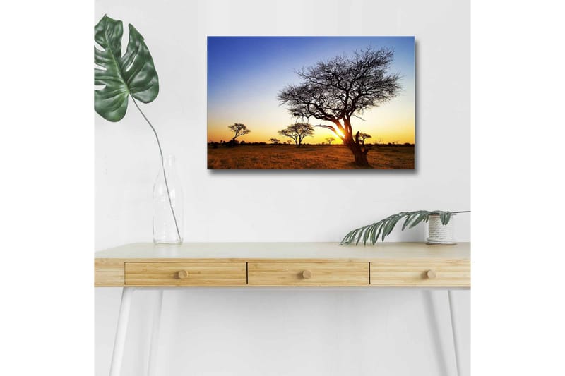 Canvas-taulu LED-valaistuksella - Puiden siluetit auringonlaskua vasten savannilla, Kulta / Sininen / Musta