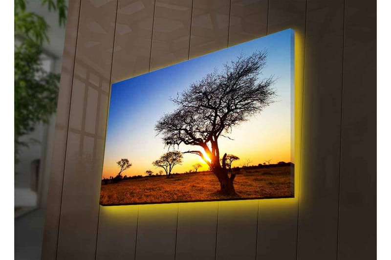 Canvas-taulu LED-valaistuksella - Puiden siluetit auringonlaskua vasten savannilla - Kulta / Sininen / Musta - Sisustustuotteet - Taulu & taide - Canvas-taulu