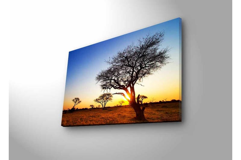 Canvas-taulu LED-valaistuksella - Puiden siluetit auringonlaskua vasten savannilla - Kulta / Sininen / Musta - Sisustustuotteet - Taulu & taide - Canvas-taulu