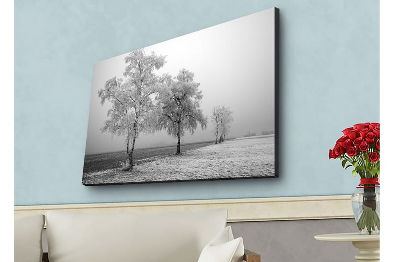 Canvas-taulu LED-valaistuksella - Pakkasisia puita talvimaisemassa, Valkoinen / Harmaa