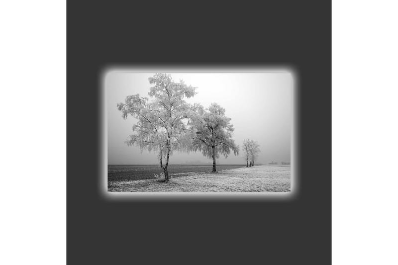 Canvas-taulu LED-valaistuksella - Pakkasisia puita talvimaisemassa - Valkoinen / Harmaa - Sisustustuotteet - Taulu & taide - Canvas-taulu