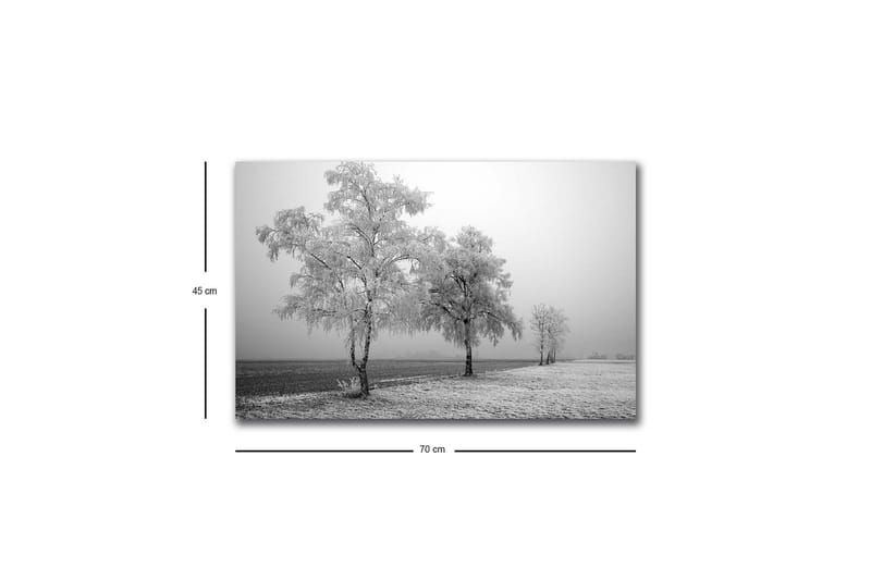 Canvas-taulu LED-valaistuksella - Pakkasisia puita talvimaisemassa - Valkoinen / Harmaa - Sisustustuotteet - Taulu & taide - Canvas-taulu