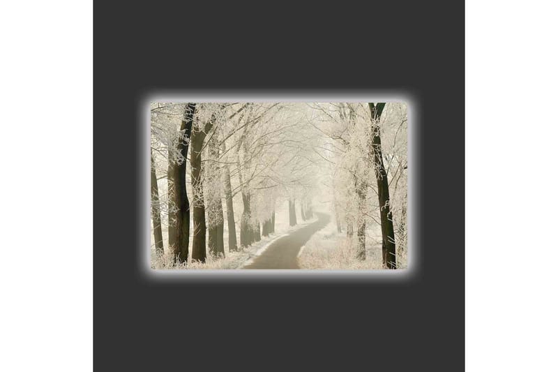 Canvas-taulu LED-valaistuksella - Pakkasinen tie lumisten puiden ympäröimänä - Valkoinen / Harmaa / Musta - Sisustustuotteet - Taulu & taide - Canvas-taulu