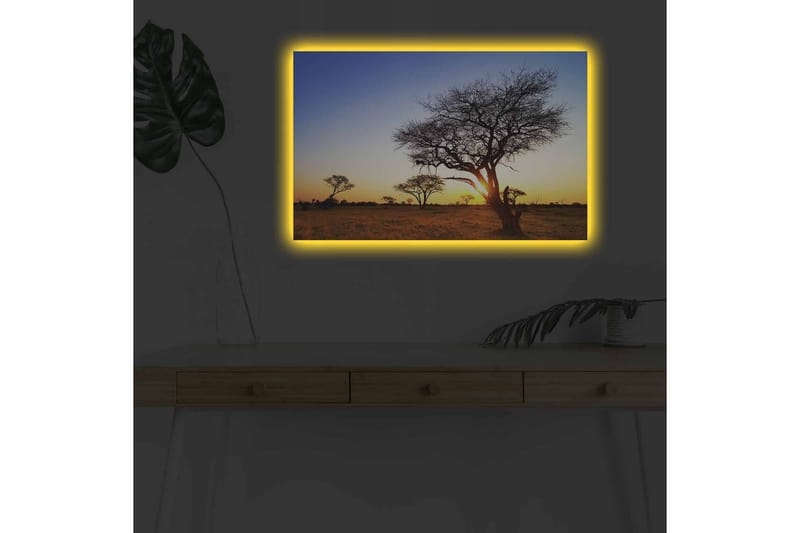 Canvas-taulu LED-valaistuksella - Puiden siluetit auringonlaskua vasten savannilla - Kulta / Sininen / Musta - Sisustustuotteet - Taulu & taide - Canvas-taulu
